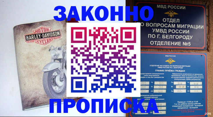 прописка для школы в Ясногорске